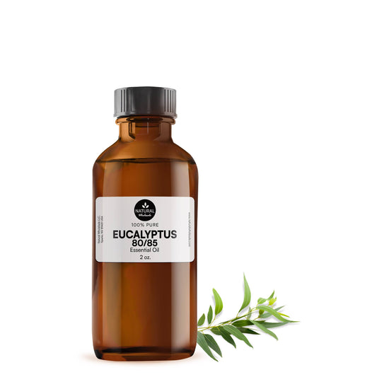 Eucalyptus Essential Oil - 100% Pure | Wholesale Bulk: 2oz