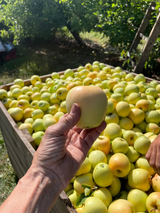 Granny Smith Apple Goat Milk Soap